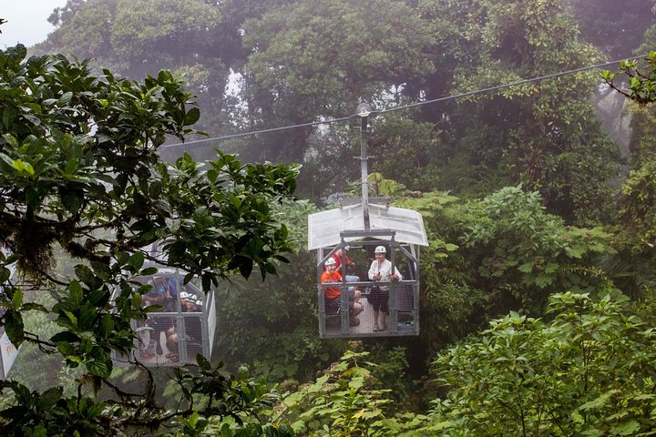 Sky Adventures Combo: Walk, Tram & Zipline from Monteverde - Photo 1 of 6
